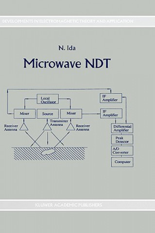 Könyv Microwave NDT N. Ida