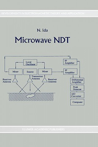 Kniha Microwave NDT N. Ida