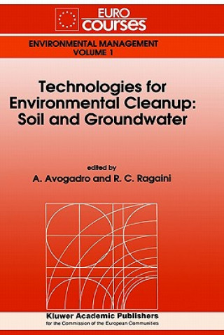 Könyv Technologies for Environmental Cleanup: Soil and Groundwater A. Avogadro