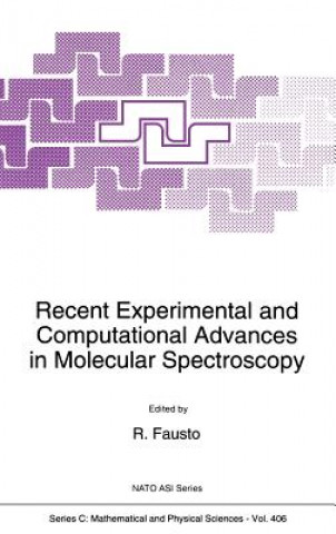 Könyv Recent Experimental and Computational Advances in Molecular Spectroscopy R. Fausto