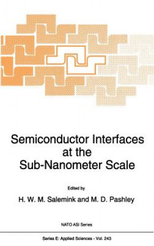 Kniha Semiconductor Interfaces at the Sub-Nanometer Scale H.W.M Salemink