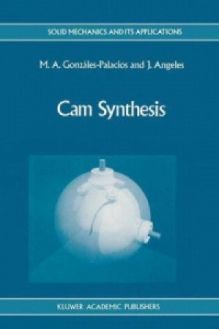 Boek Cam Synthesis M.A. González-Palacios
