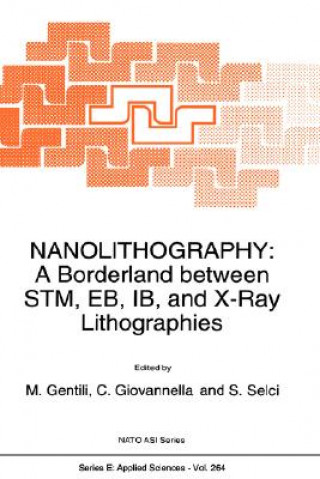 Könyv Nanolithography M. Gentili