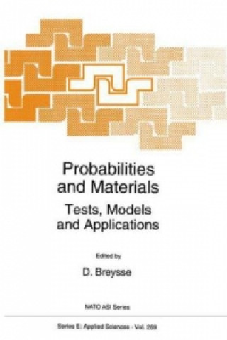 Kniha Probabilities and Materials Denys Breysse