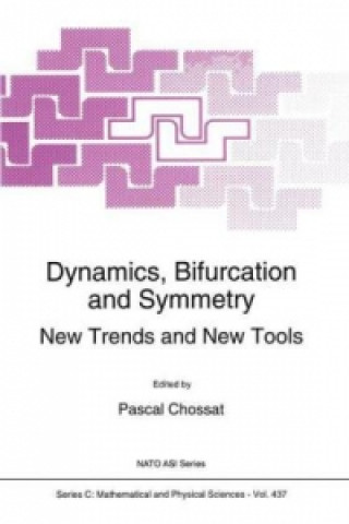 Kniha Dynamics, Bifurcation and Symmetry P. Chossat