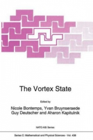 Kniha The Vortex State N. Bontemps