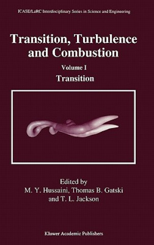 Kniha Transition, Turbulence and Combustion M.Y. Hussaini