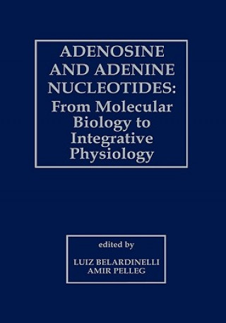 Könyv Adenosine and Adenine Nucleotides: From Molecular Biology to Integrative Physiology Luiz Belardinelli