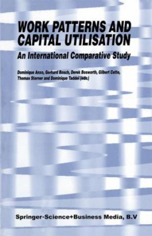 Kniha Work Patterns and Capital Utilisation D. Anxo