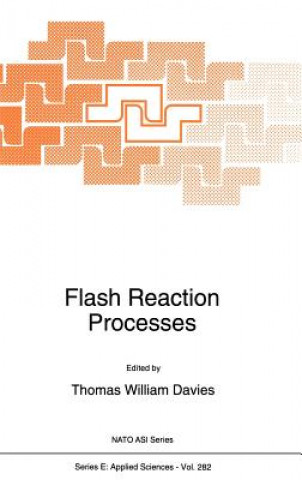 Книга Flash Reaction Processes T.W. Davies