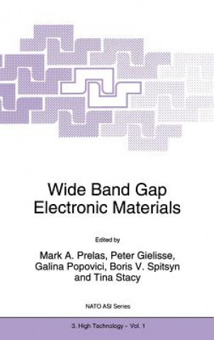 Könyv Wide Band Gap Electronic Materials Mark A. Prelas