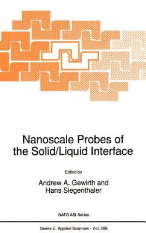 Kniha Nanoscale Probes of the Solid/Liquid Interface Andrew A. Gewirth