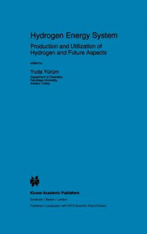 Kniha Hydrogen Energy System Yuda Yürüm