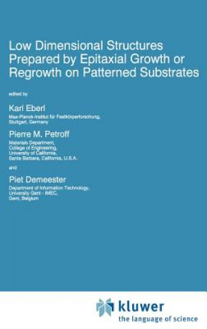 Carte Low Dimensional Structures Prepared by Epitaxial Growth or Regrowth on Patterned Substrates K. Eberl