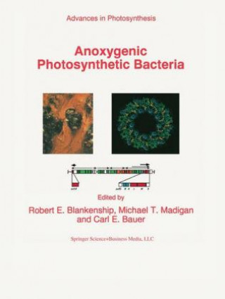 Kniha Anoxygenic Photosynthetic Bacteria, 2 Teile R.E. Blankenship