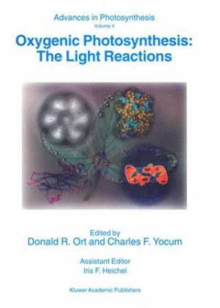 Kniha Oxygenic Photosynthesis: The Light Reactions Donald R. Ort