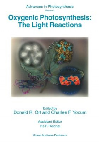 Könyv Oxygenic Photosynthesis: The Light Reactions Donald R. Ort
