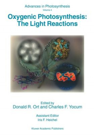 Buch Oxygenic Photosynthesis: The Light Reactions Donald R. Ort