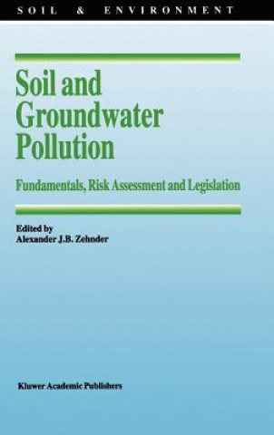 Kniha Soil and Groundwater Pollution A.J. Zehnder