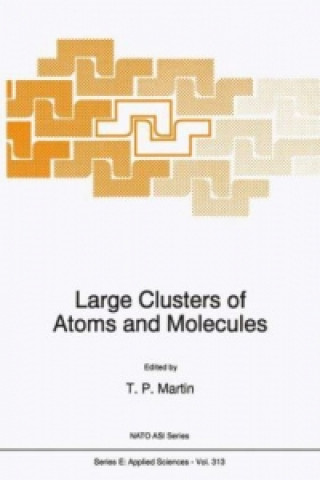 Knjiga Large Clusters of Atoms and Molecules T.P. Martin