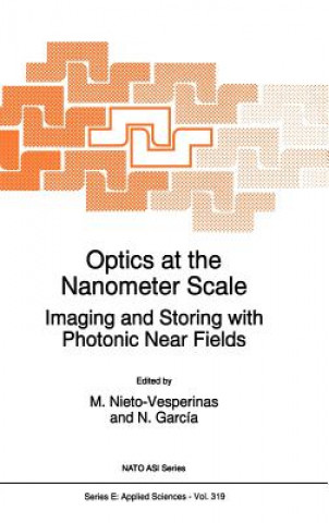 Kniha Optics at the Nanometer Scale M. Nieto-vesperinas