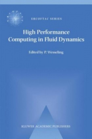 Carte High Performance Computing in Fluid Dynamics P. Wesseling