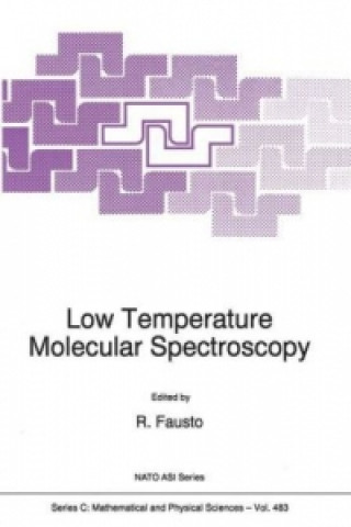 Kniha Low Temperature Molecular Spectroscopy Rui Fausto