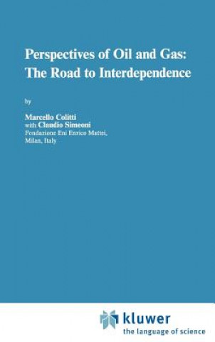 Könyv Perspectives of Oil and Gas: The Road to Interdependence M. Colitti