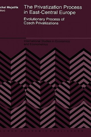 Buch Privatization Process in East-Central Europe Michal Mejstrík