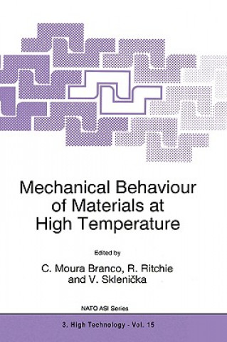 Kniha Mechanical Behaviour of Materials at High Temperature C. Moura Branco