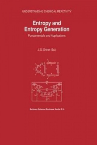 Книга Entropy and Entropy Generation J.S. Shiner