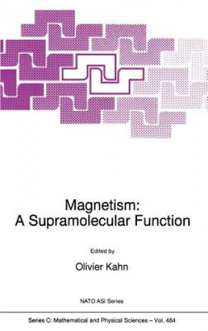 Könyv Magnetism: A Supramolecular Function O. Kahn