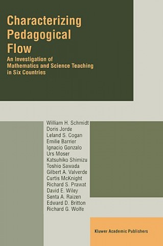 Książka Characterizing Pedagogical Flow W.H. Schmidt