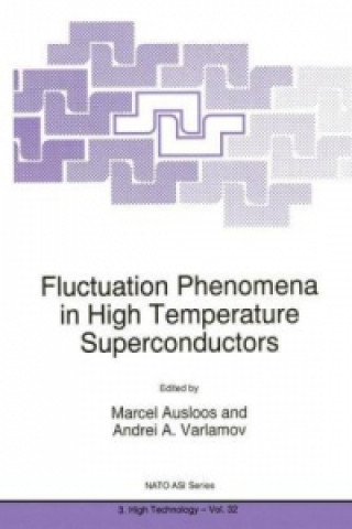 Книга Fluctuation Phenomena in High Temperature Superconductors Marcel Ausloos