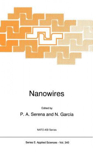 Libro Nanowires P.A. Serena