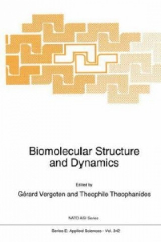 Könyv Biomolecular Structure and Dynamics G. Vergoten