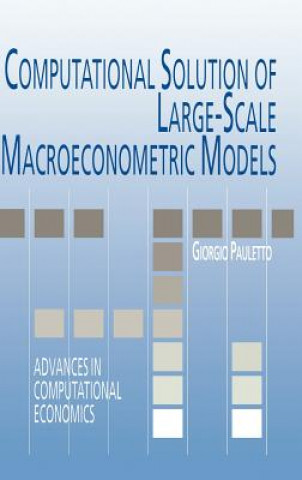 Książka Computational Solution of Large-Scale Macroeconometric Models Giorgio Pauletto