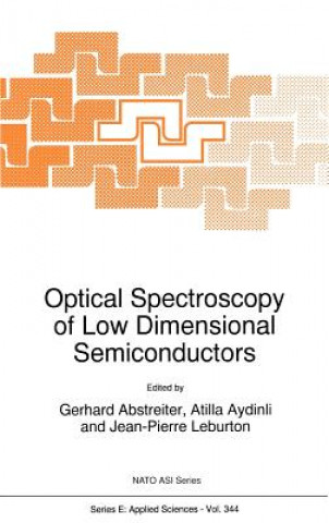 Kniha Optical Spectroscopy of Low Dimensional Semiconductors G. Abstreiter