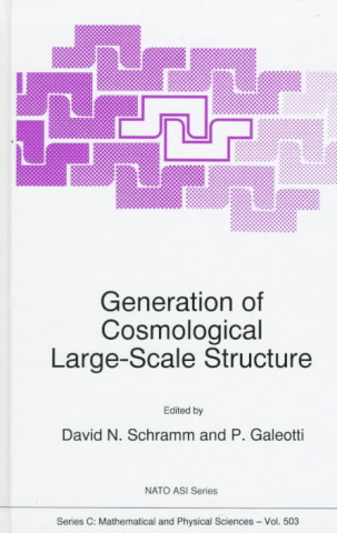 Kniha Generation of Cosmological Large-Scale Structure David N. Schramm