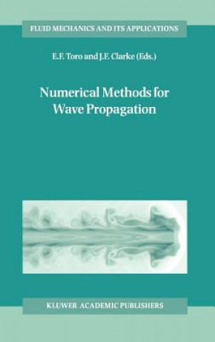 Knjiga Numerical Methods for Wave Propagation E.F. Toro