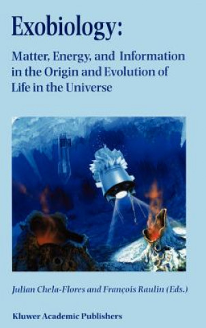 Könyv Exobiology: Matter, Energy, and Information in the Origin and Evolution of Life in the Universe Julian Chela-Flores