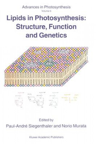 Carte Lipids in Photosynthesis: Structure, Function and Genetics Paul-André Siegenthaler