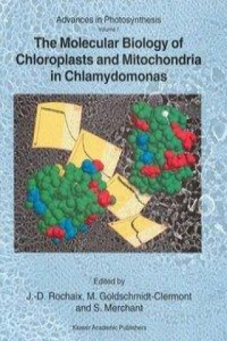 Könyv Molecular Biology of Chloroplasts and Mitochondria in Chlamydomonas J.-D. Rochaix