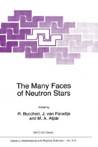 Könyv The Many Faces of Neutron Stars R. Buccheri