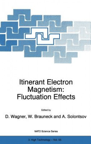 Kniha Itinerant Electron Magnetism: Fluctuation Effects Dieter Wagner