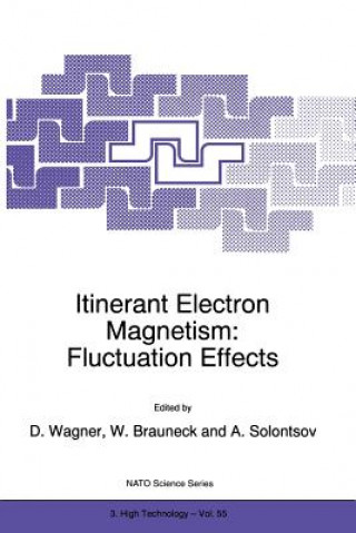 Kniha Itinerant Electron Magnetism: Fluctuation Effects Dieter Wagner