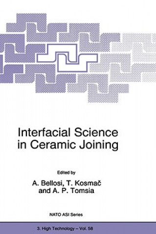 Kniha Interfacial Science in Ceramic Joining Alida Bellosi