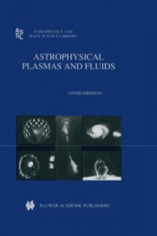 Könyv Astrophysical Plasmas and Fluids Vinod Krishan