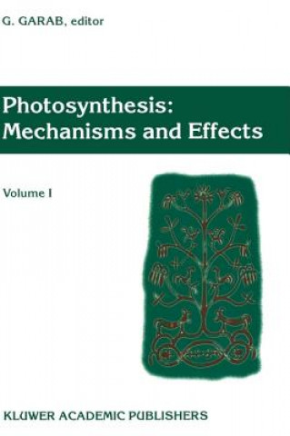 Książka Photosynthesis: Mechanisms and Effects Gyözö Garab