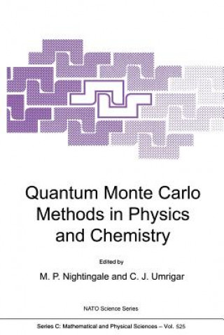 Kniha Quantum Monte Carlo Methods in Physics and Chemistry M.P. Nightingale